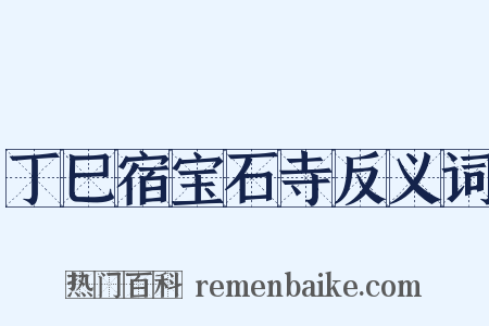 丁巳宿宝石寺反义词是什么意思的图片